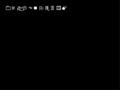 The third Wingdings string.